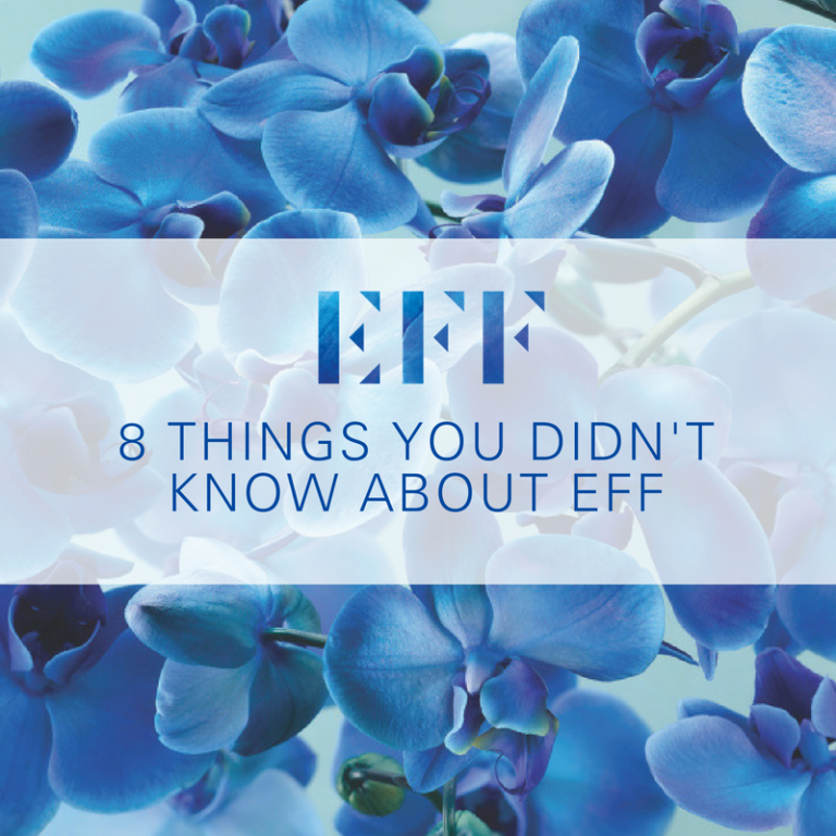 8 THINGS YOU DIDN'T KNOW ABOUT EFF